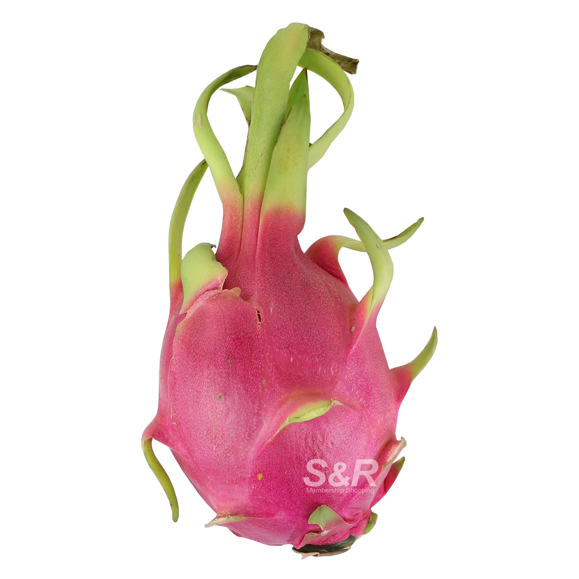 S&R Dragon Fruit approx. 1.2kg S&R Dragon Fruit approx. 1.2kg